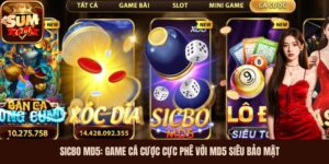 Sicbo MD5